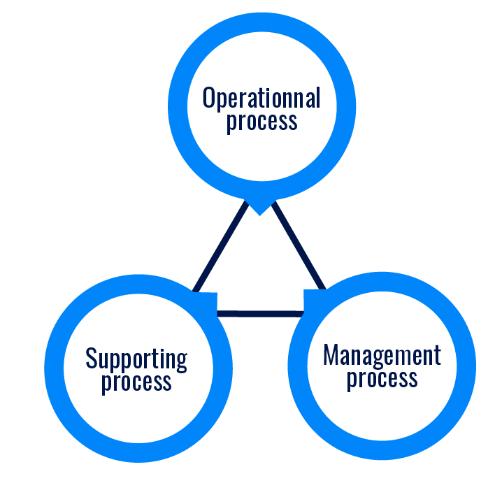 Types of business process management
