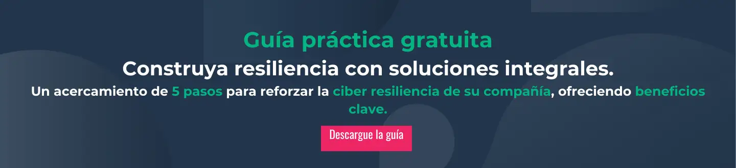 Guía práctica de ciber resiliencia