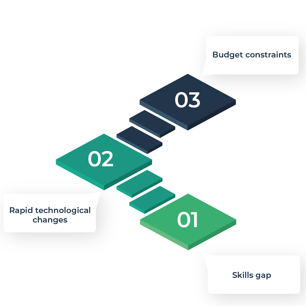 Challenges in Developing Technical Capabilities